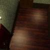 [MODE] TPF=2
[CLUT] X=-1, Y=-1, W=-1, H=-1
[IMAGE] X=0, Y=0, W=320, H=240
[STP] OTHERS=0, BLACK=1