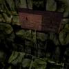 [MODE] TPF=2
[CLUT] X=-1, Y=-1, W=-1, H=-1
[IMAGE] X=0, Y=0, W=320, H=240
[STP] OTHERS=0, BLACK=1