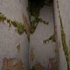 BIOHAZARD_1.0_152
