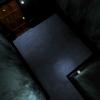 BIOHAZARD_1.0_257