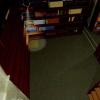 BIOHAZARD_1.0_284