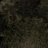 BIOHAZARD_1.0_396