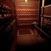 BIOHAZARD_1.0_619