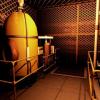 BIOHAZARD_1.0_622