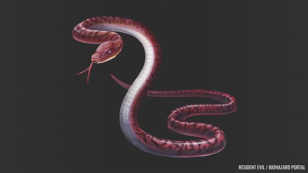 pop-creature-l-4-1