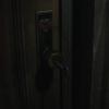 biohazard2_claire_00570