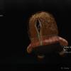 biohazard2_claire_00725