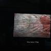 biohazard2_00449