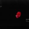 biohazard2_00724