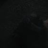 biohazard2_00845
