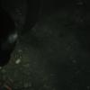 biohazard2_01047