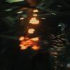 biohazard2_01785