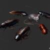 pop-creature-l-6-1