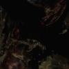 _biohazard3_02422