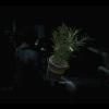 RE3demo_074