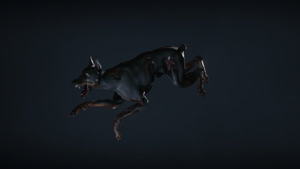 bio3_models_00040
