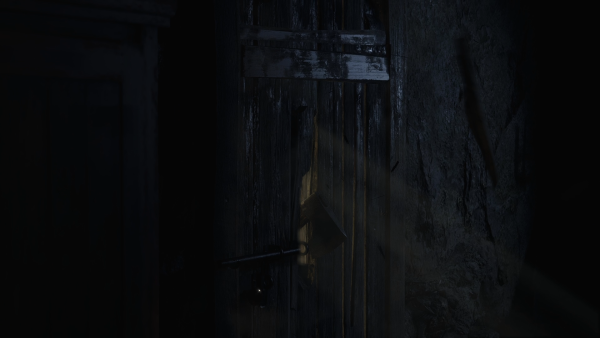 demo_51