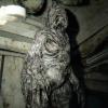 pop-creature-l-4-1