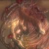 biohazardrev1_01535