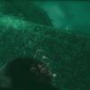 biohazardrev1_01671