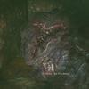 biohazardrev1_01686
